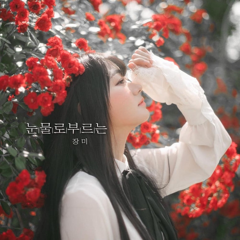 장미음악학원 이미지