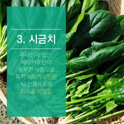 금정식품 이미지
