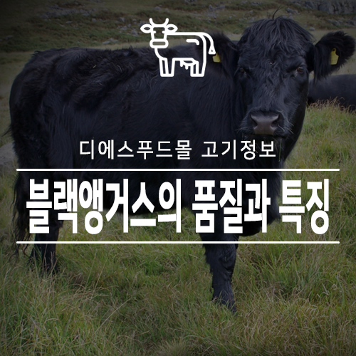 하나푸드몰 이미지