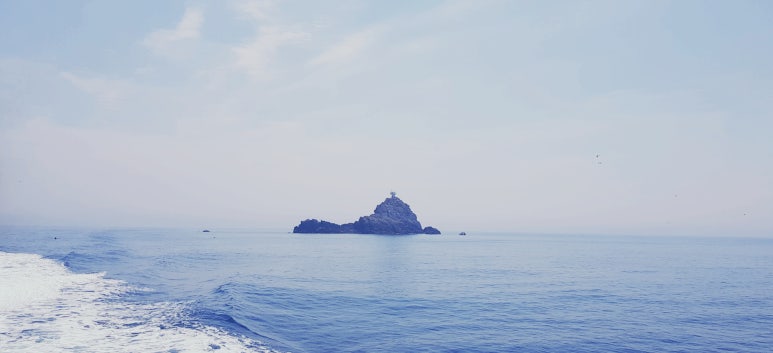 윤호민박 이미지