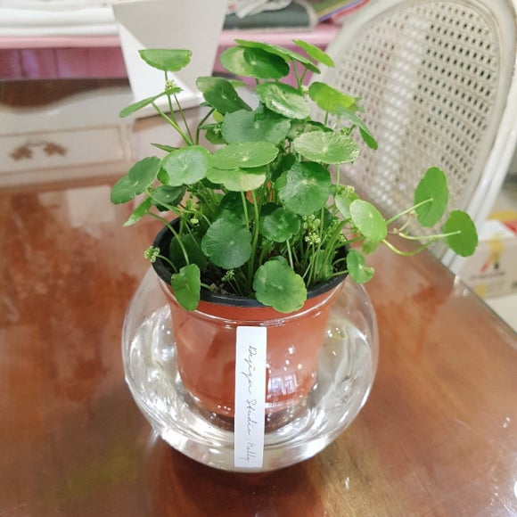 스튜디오넬리 이미지