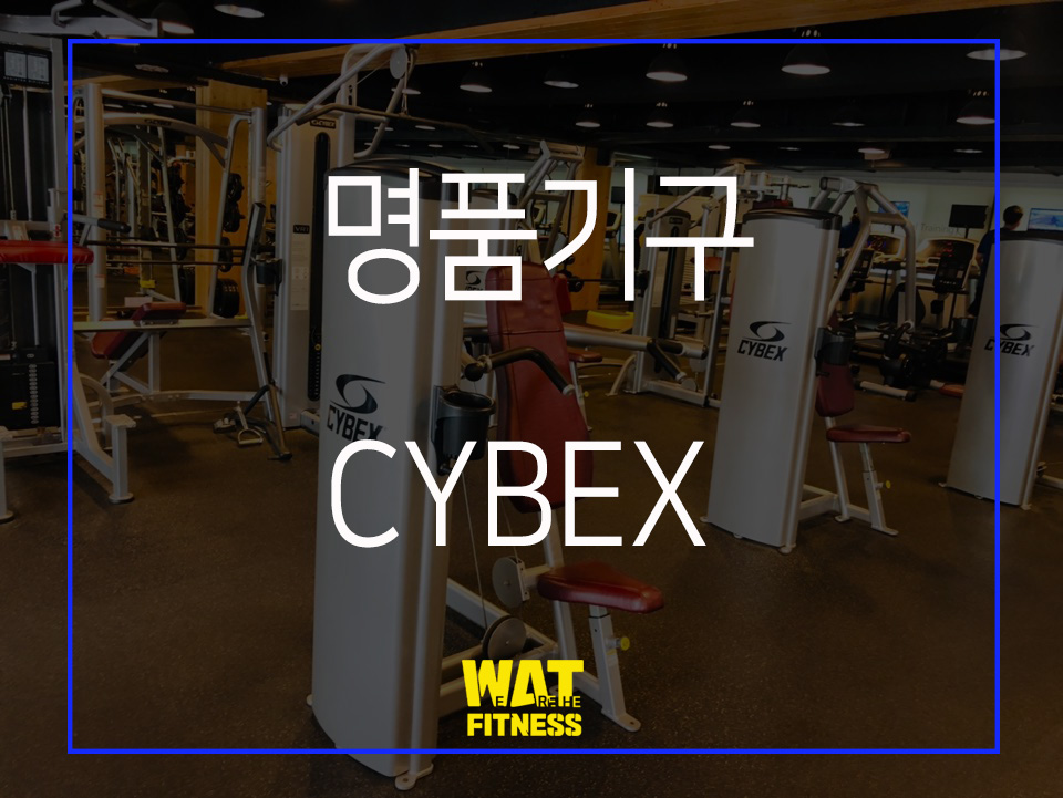 위아더휘트니스 이미지