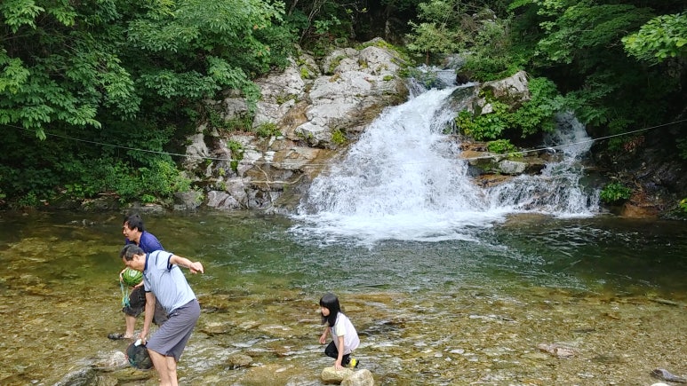 복주산자연휴양림 이미지