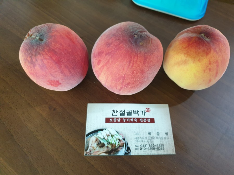 가나모터스 이미지