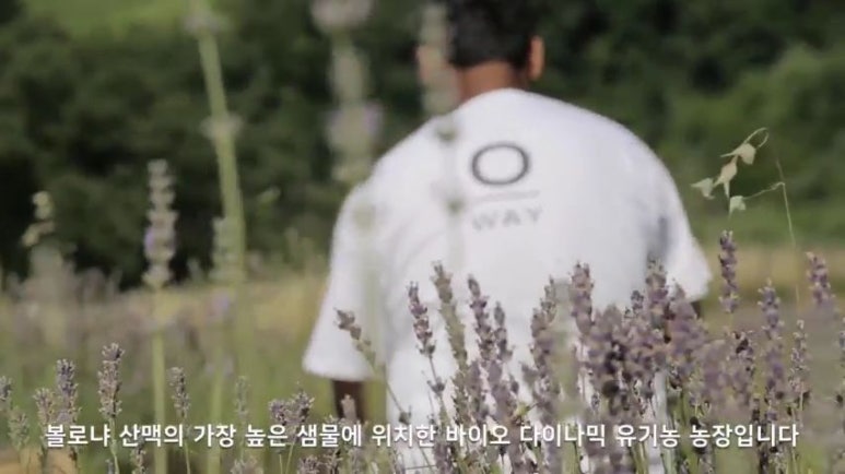 플라워웨이 이미지