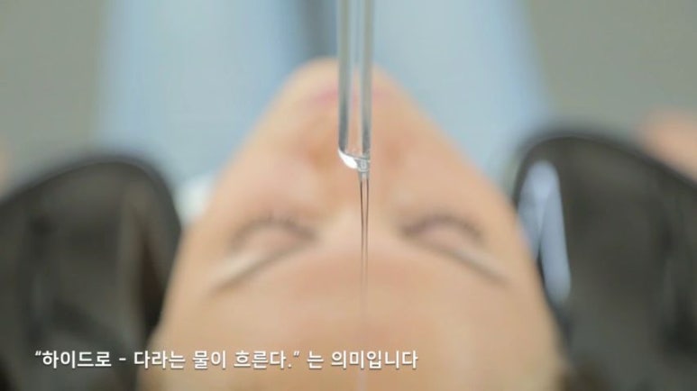 로즈마리플라워 이미지
