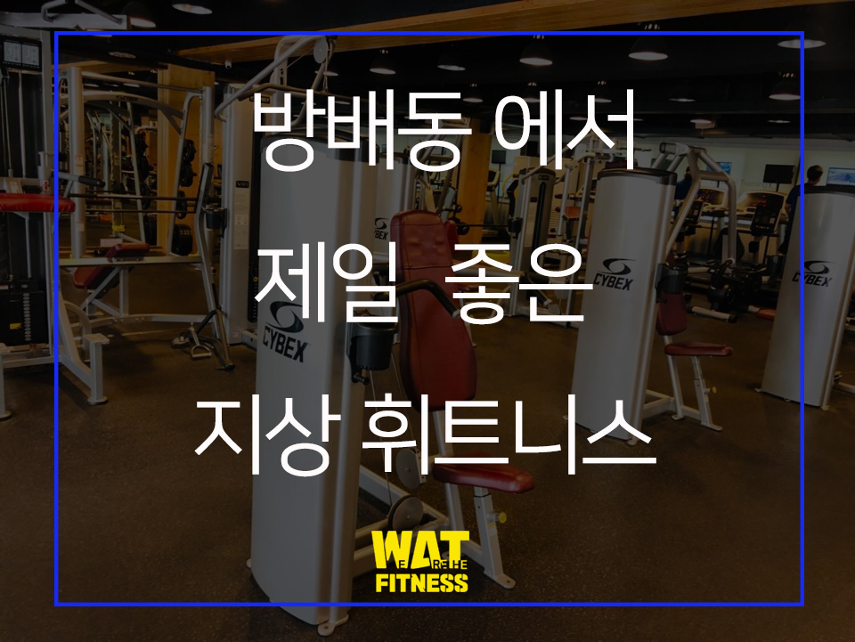 위아더휘트니스 이미지