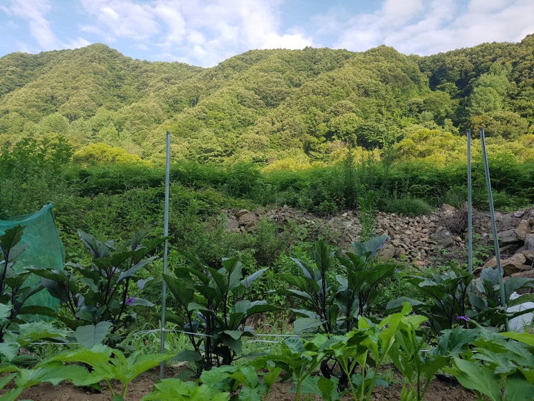 햇살담은농장 이미지