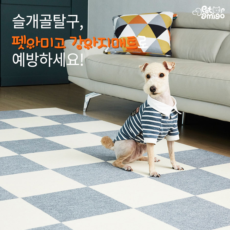 마이아미고 이미지