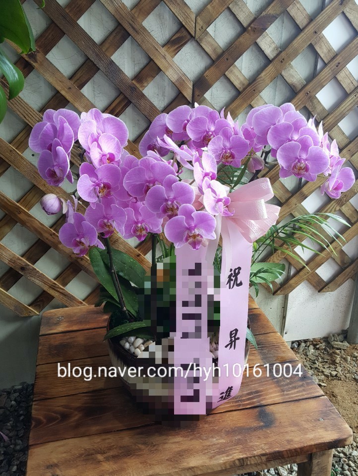 (주)나이스텍 이미지