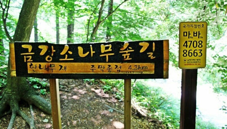 한나화원 이미지