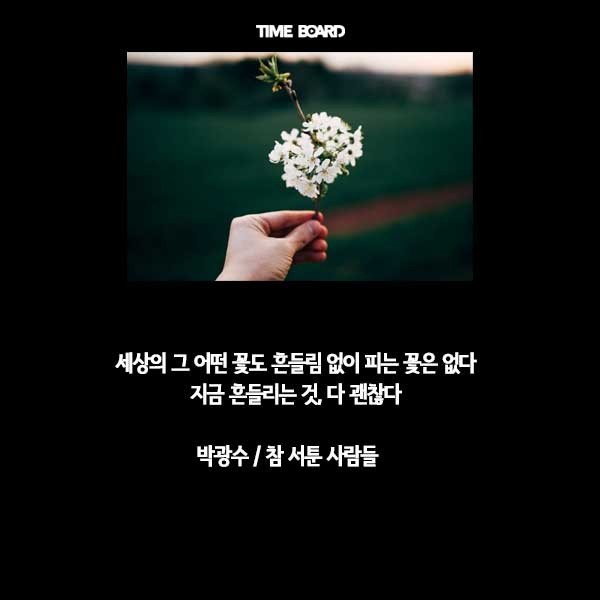 아쿠아 스쿠버 이미지