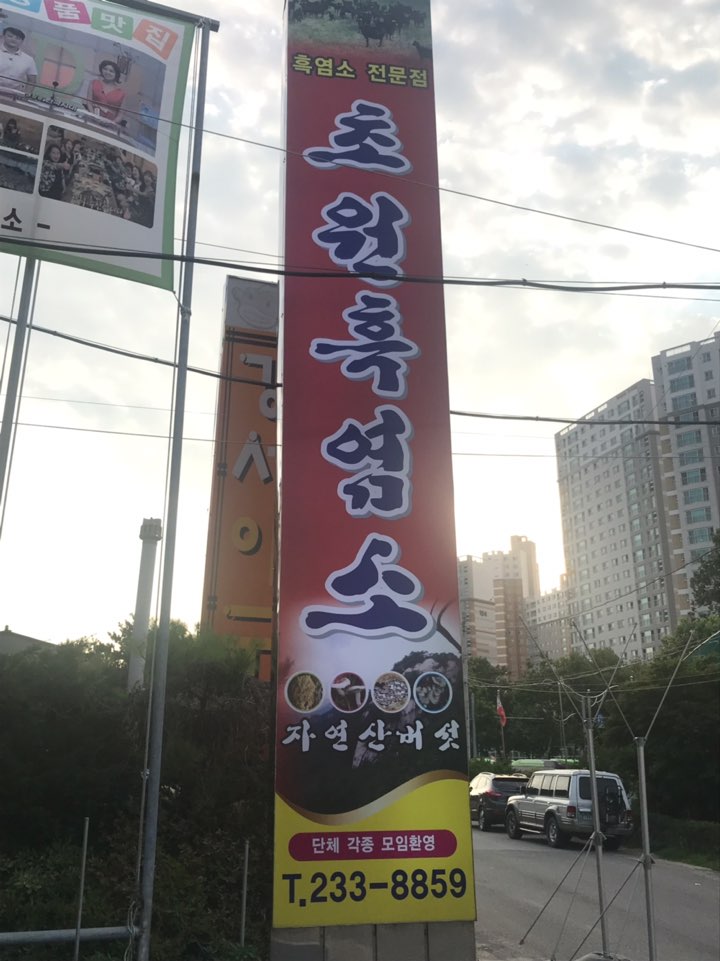 초원흑염소 이미지