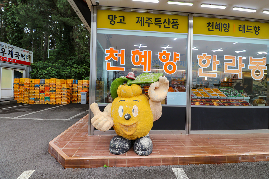농수산특산품판매 이미지