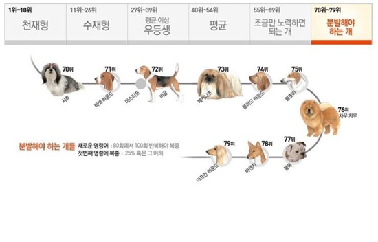이솔네일 이미지