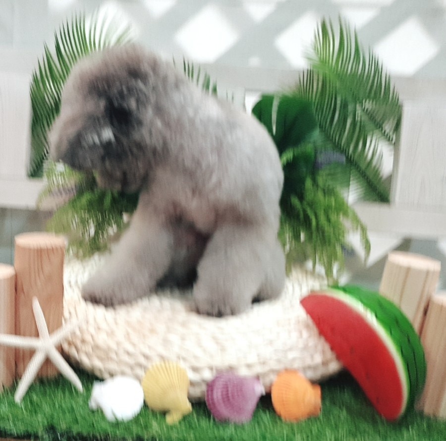 현포토 이미지