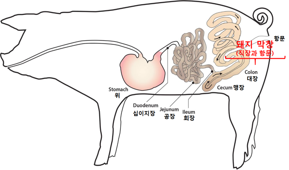 은하수곱창 이미지