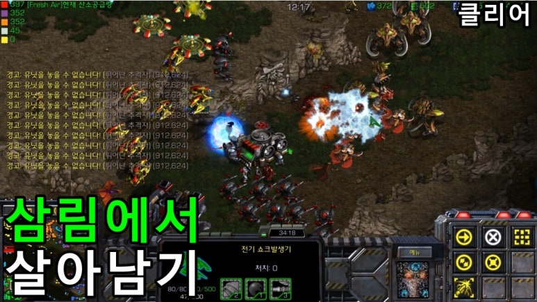 삼림영상 이미지