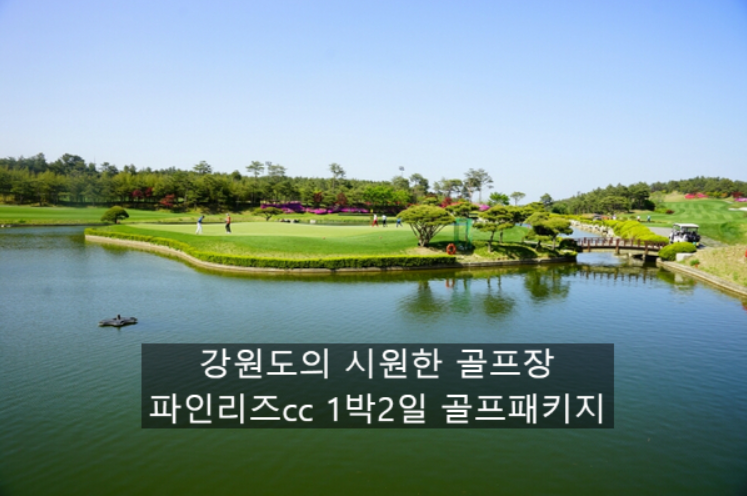 세이브투어 이미지