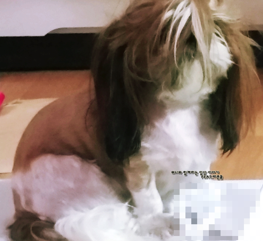 워니헤어 이미지