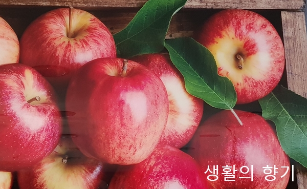 생활의향기 이미지