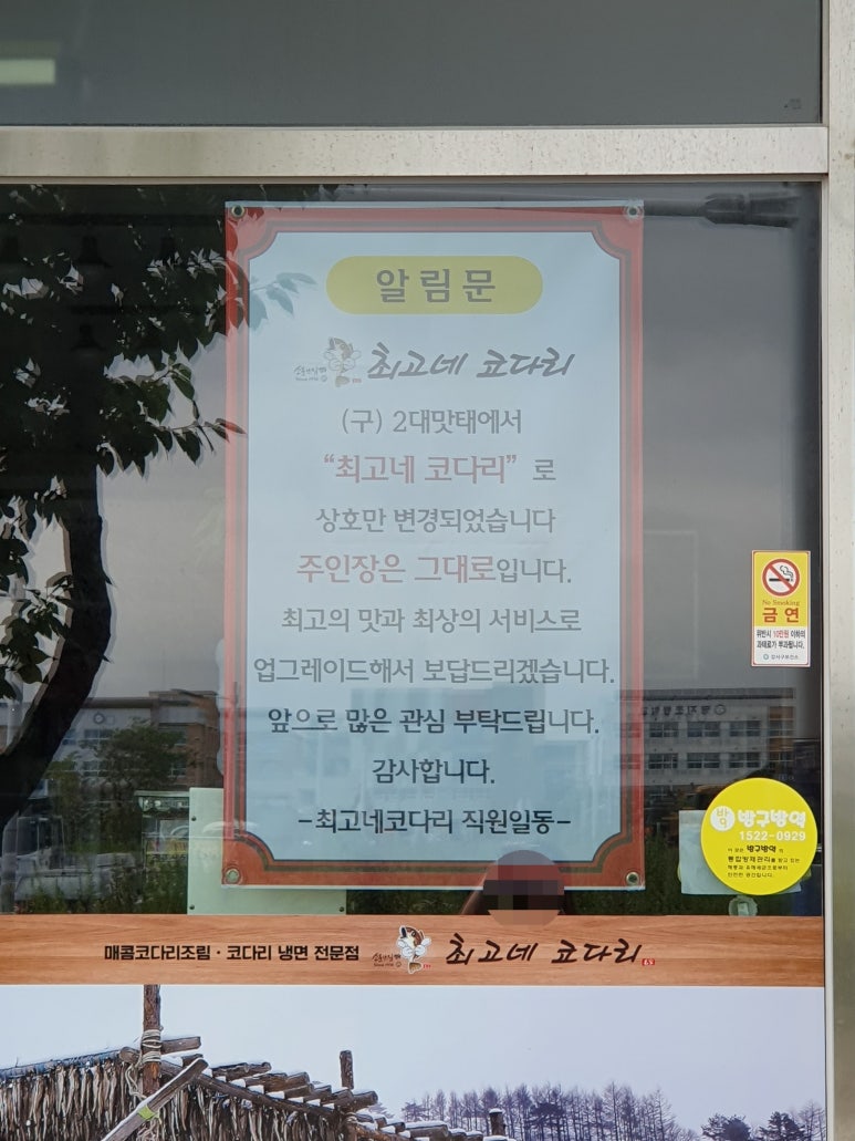 최고네코다리 이미지