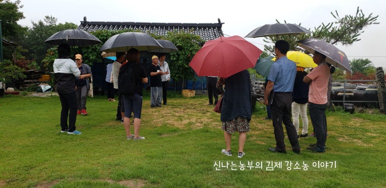 텃밭영농조합법인 이미지