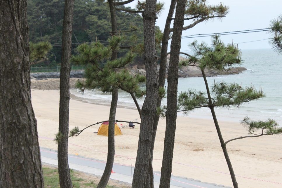 사과나무펜션 이미지