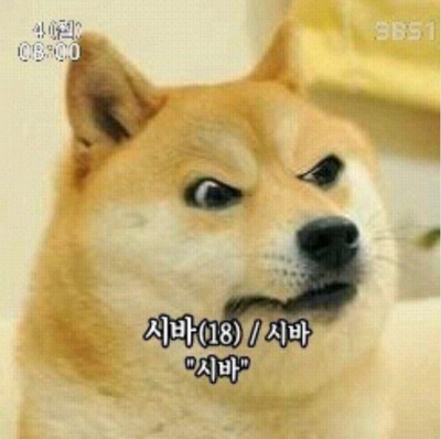구영회참치&초밥 이미지