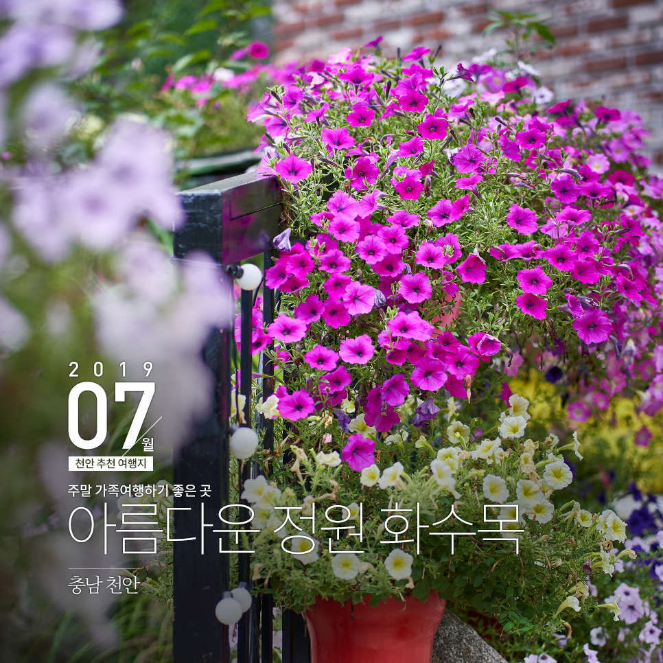화.수.목(花.水.木 이미지