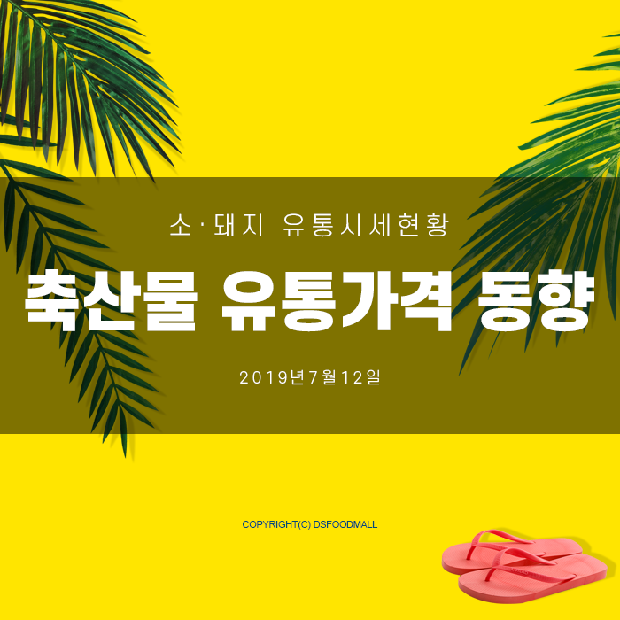 디에스유통 이미지