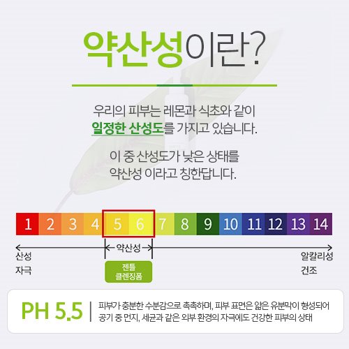 센스티브 이미지