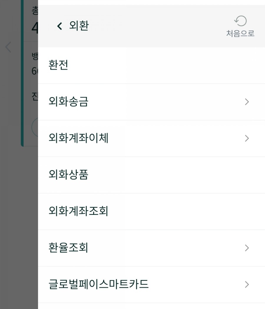 하나글로벌 이미지