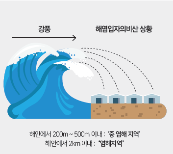 대성보세 이미지