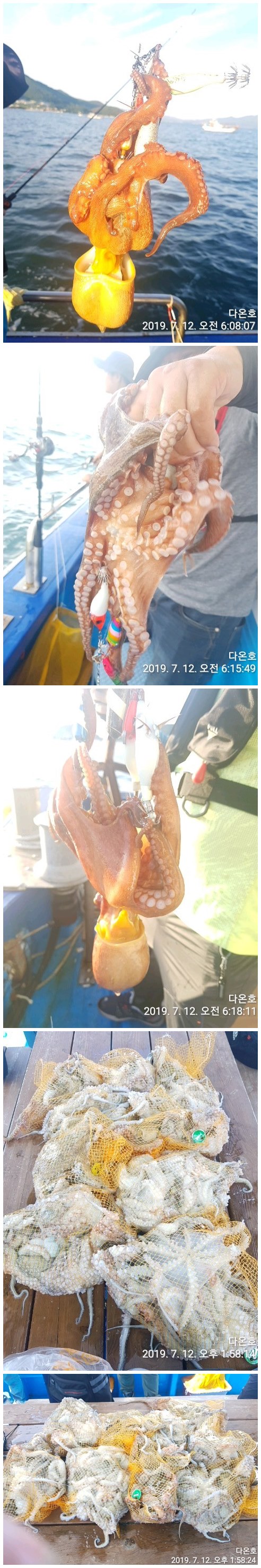 갈도풍력 이미지