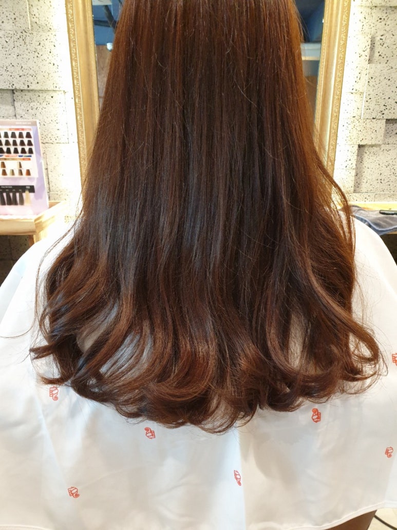 보배로이헤어 이미지