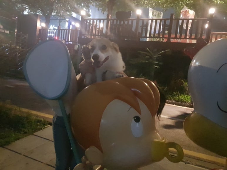 복자카페 이미지