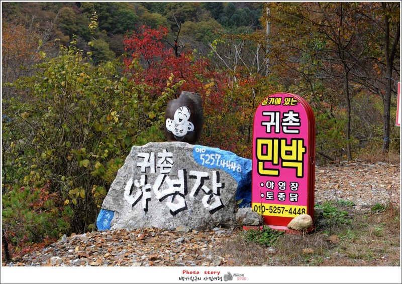 귀촌 야영장 이미지