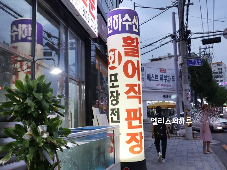 활어직판포장판매 이미지