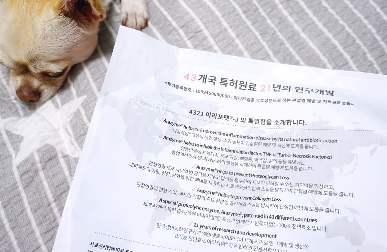 (주)인섹트바이오텍 이미지