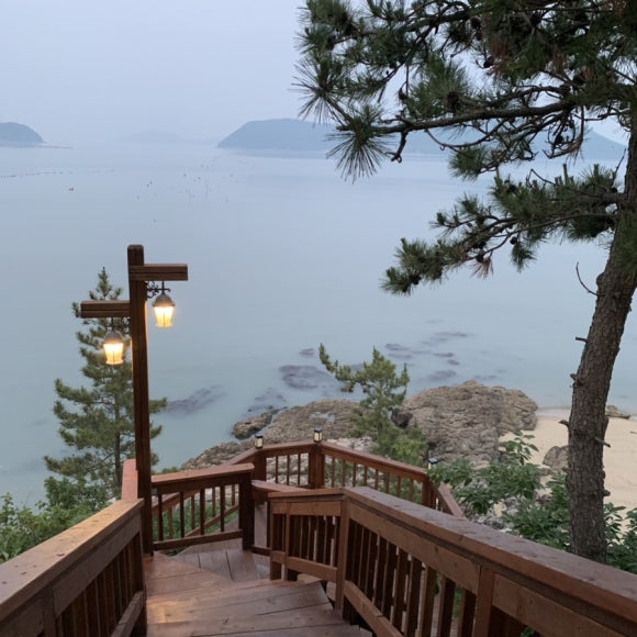 보성완도 이미지