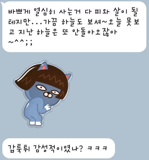 파리엔테스 이미지