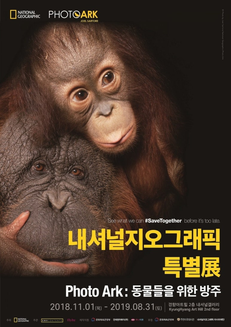 내셔널지오그래픽 이미지