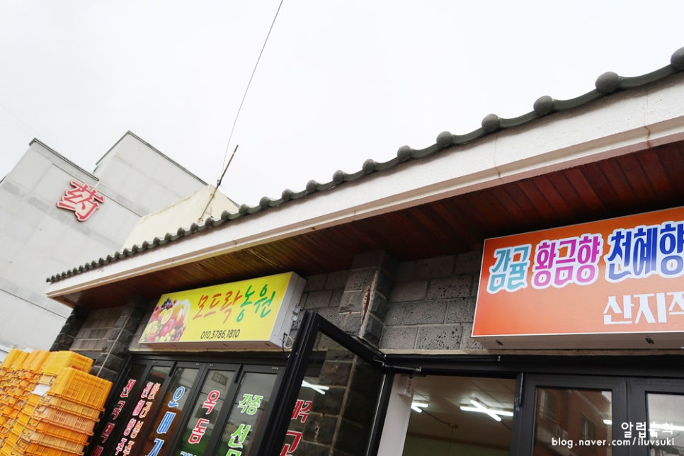 모드락농원 이미지