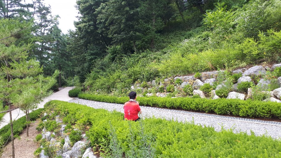 계명산 치유의 숲 이미지