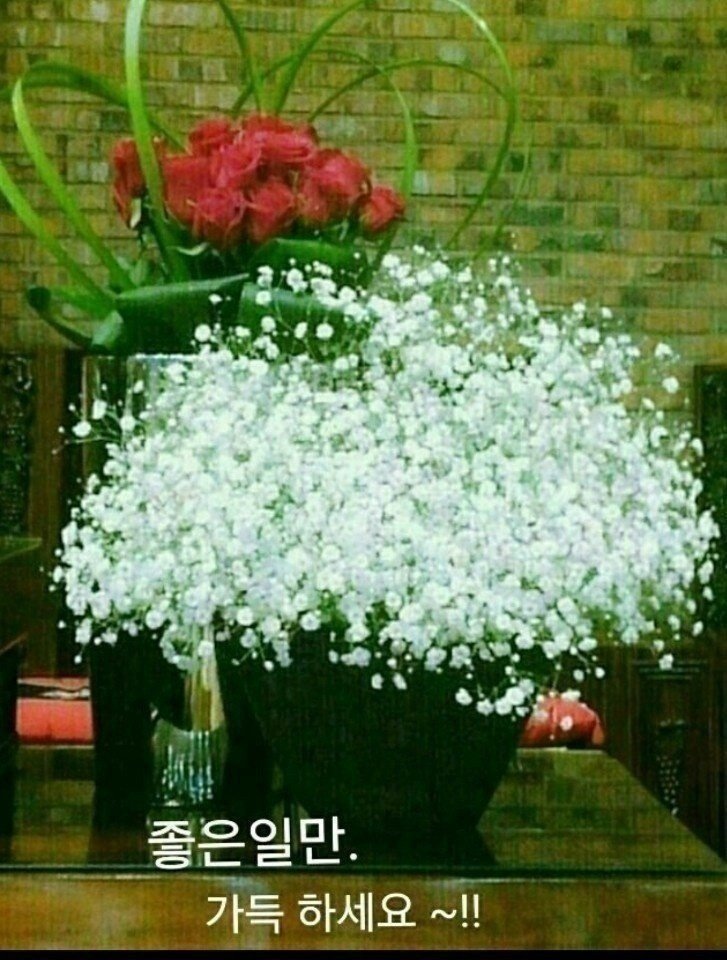 부광식품 이미지
