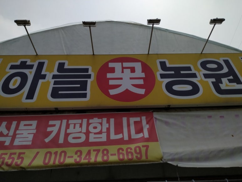 하늘꽃농원 이미지