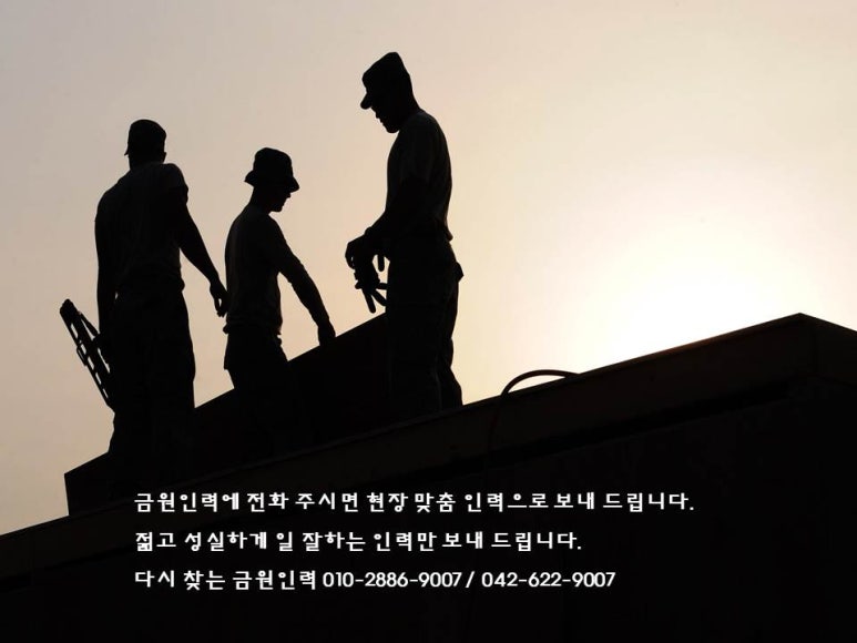 대덕인력 이미지