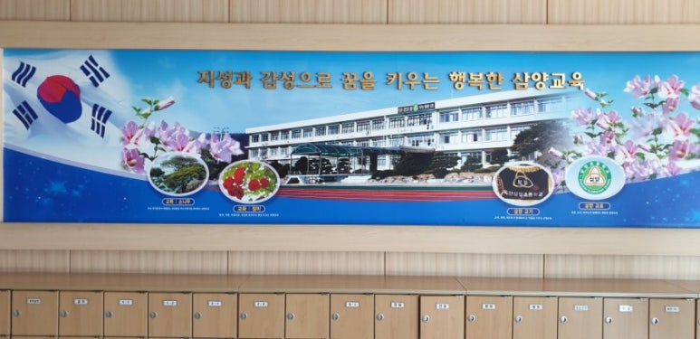 삼양초등학교 이미지