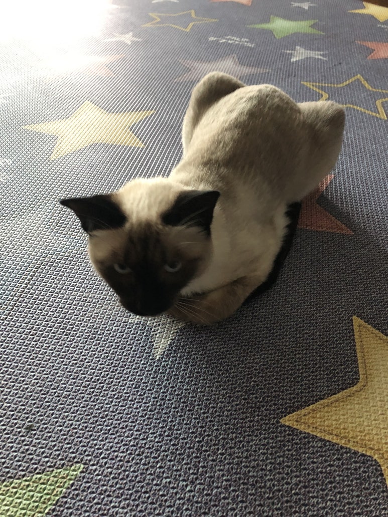 꿉다 이미지